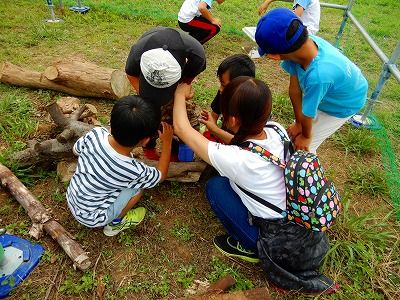 ２０１９昆虫体験学習６月２３日 (13)