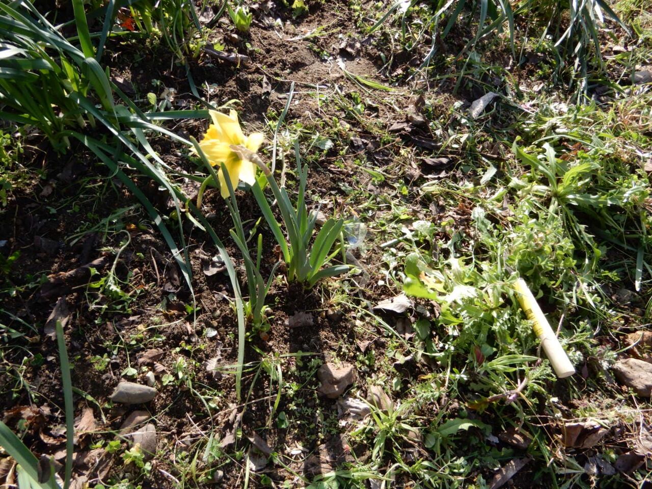 2021˭���������� (17)