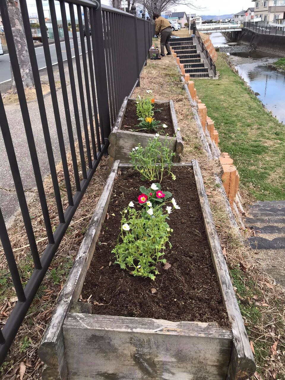 2021˭���������� (4)