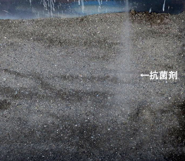 ���ݺ�����¤���