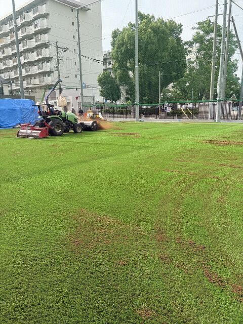 ���ī������ع����۹��� 2025 (1)