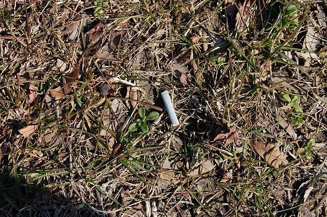 2015�θŤϤ��� (70)