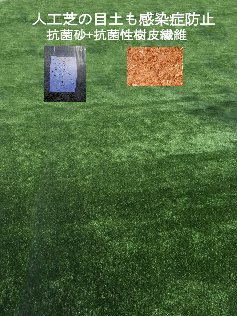 �͹��Ǥ�����