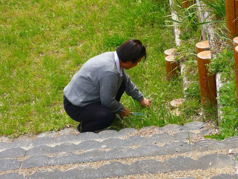 ˭�������� (4)