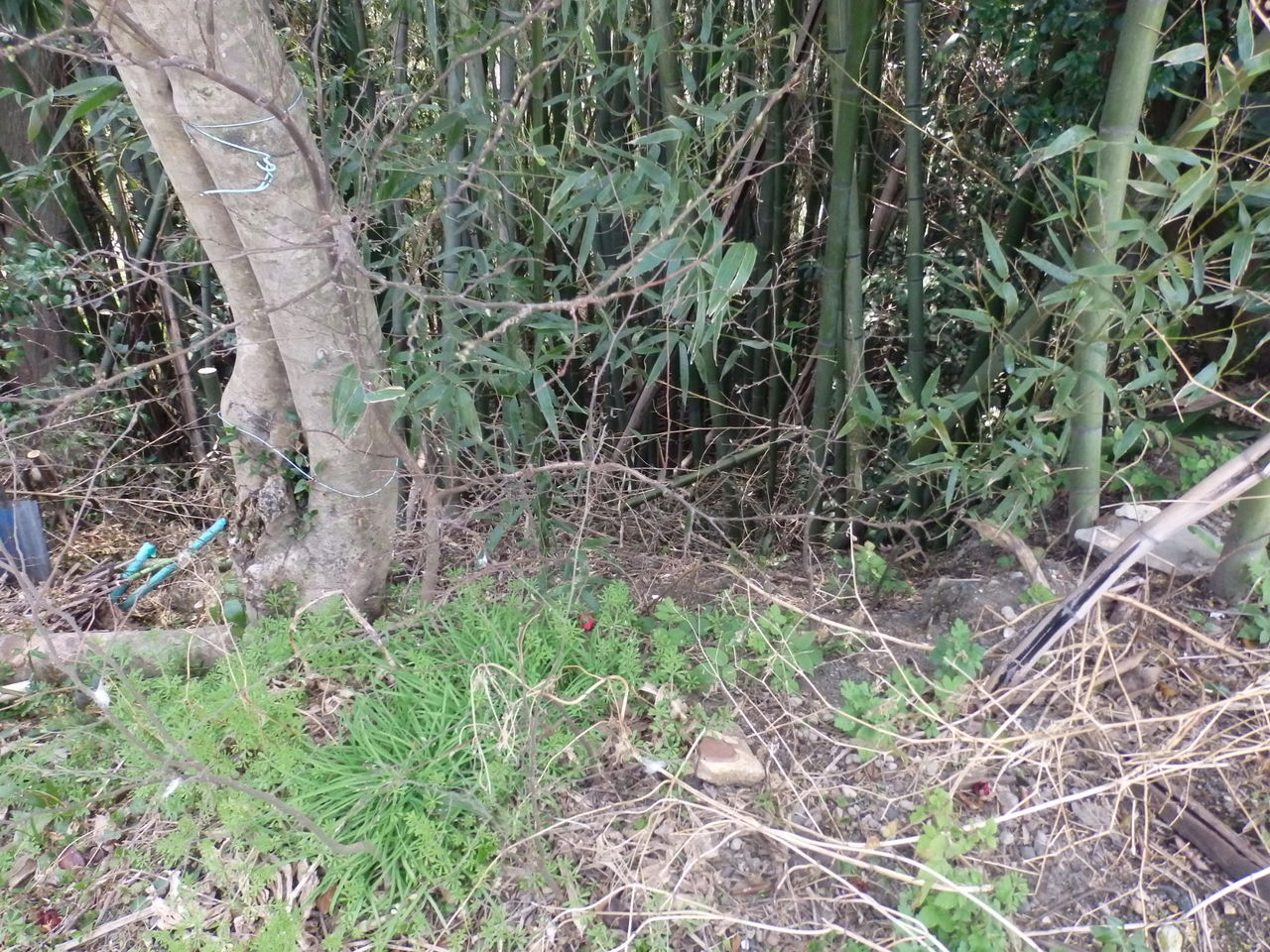 ˭��Ծ��� (4)