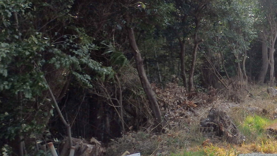 ˭��Ծ��� (8)