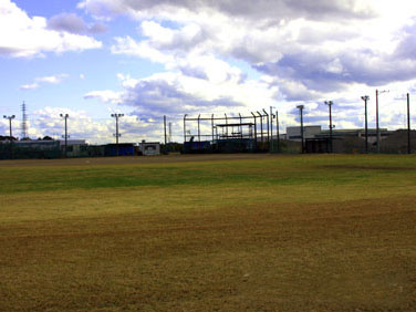 �������͹⹻