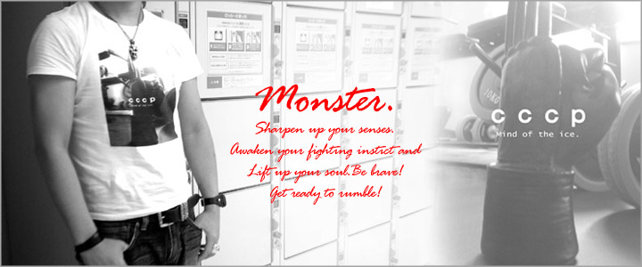 �ͣϣΣӣԣţ�/�ãã�