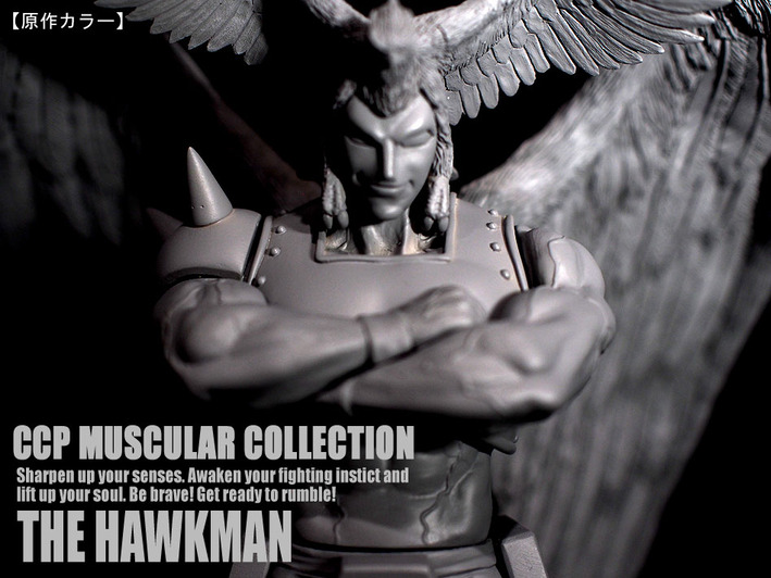 �ۡ����ޥ󸶺�顼�� (14)