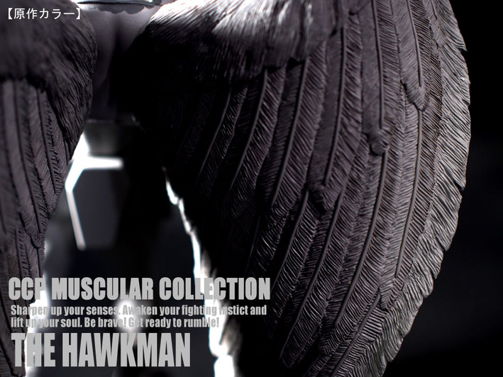 �ۡ����ޥ󸶺�顼�� (12)