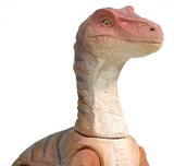 ����������ץȥ�ʻ���