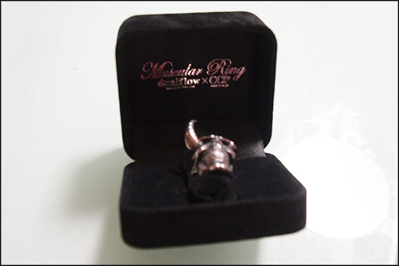 ����С���󥰡��ե����奢���å�