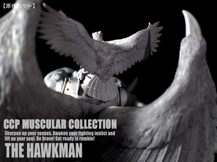 �ۡ����ޥ󸶺�顼�� (13)