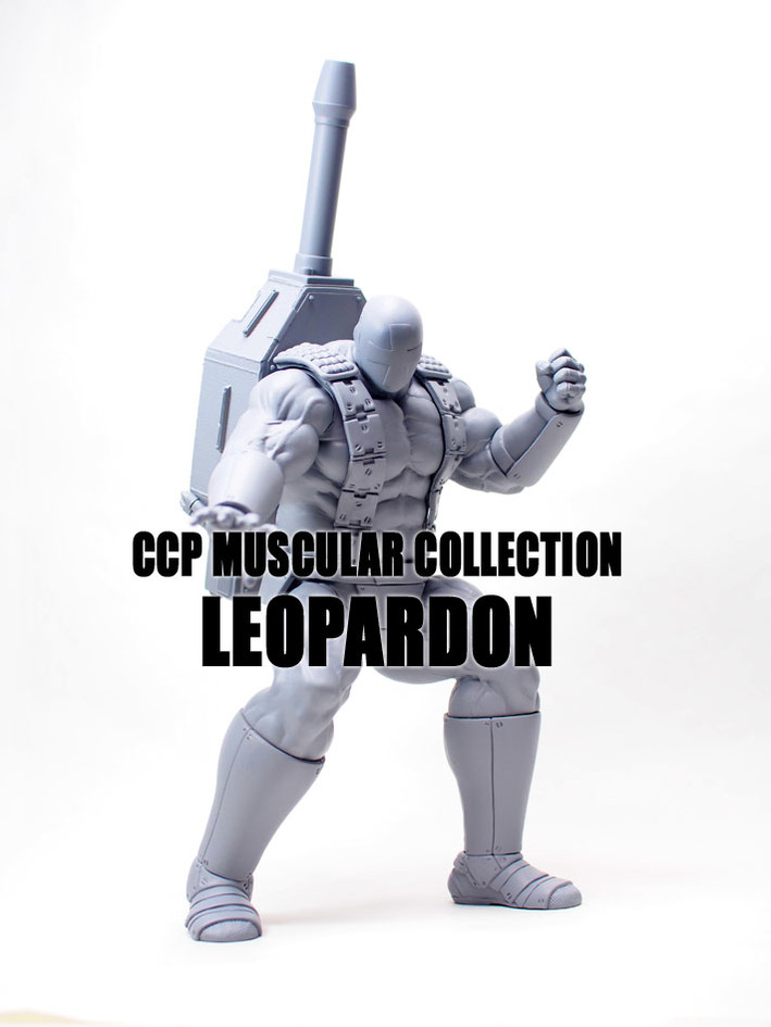 #�쥪�ѥ�ɥ����̥��顼 (1)