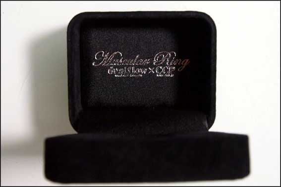 Ȣ��¦�˥����ȥ�̾