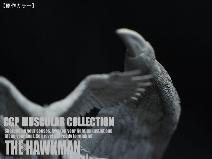 �ۡ����ޥ󸶺�顼�� (7)