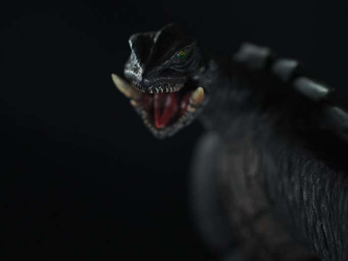 P8064222�Υ��ԡ�