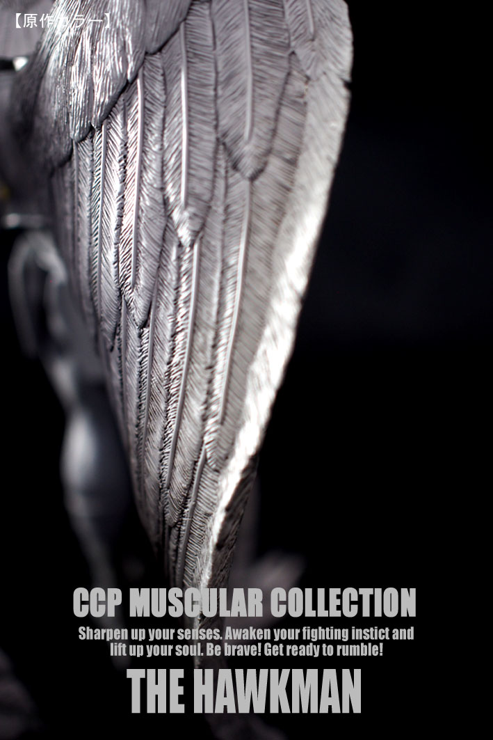 �ۡ����ޥ󸶺�顼  (4)