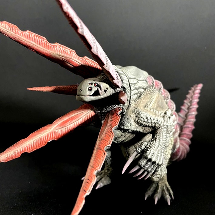 IMG_2414�Υ��ԡ�