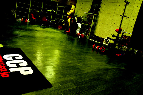 ������CCP��