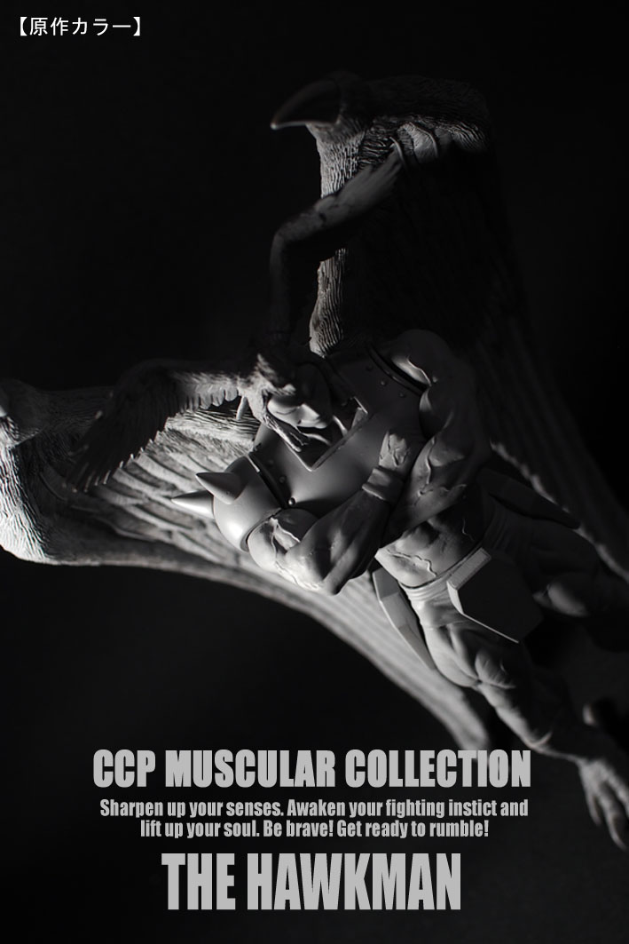 �ۡ����ޥ󸶺�顼  (2)