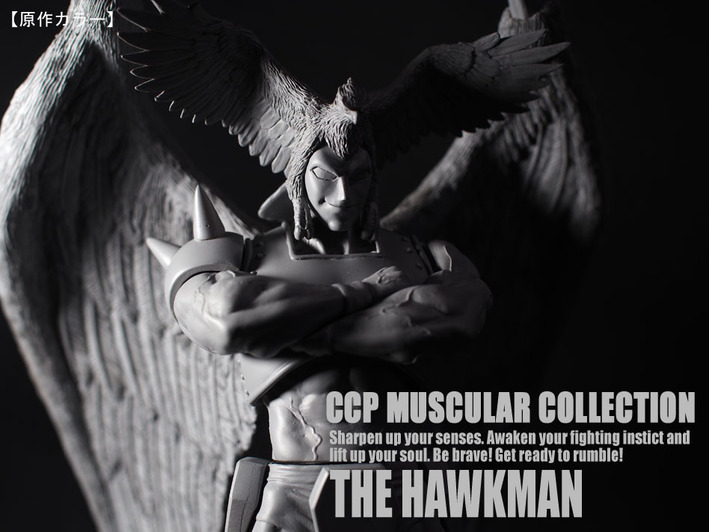 �ۡ����ޥ󸶺�顼�� (2)