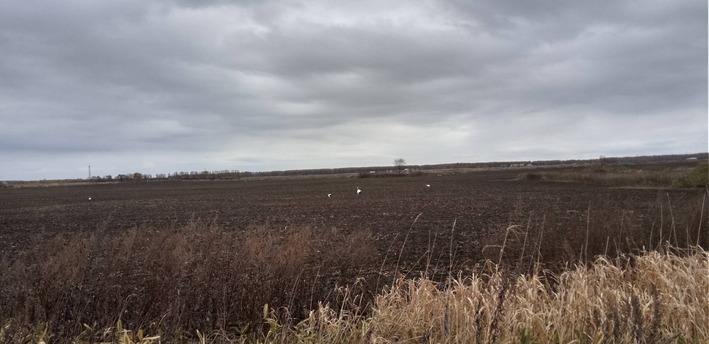 ������Ѷ�