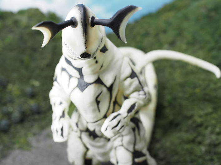 ���쥭�� (5)