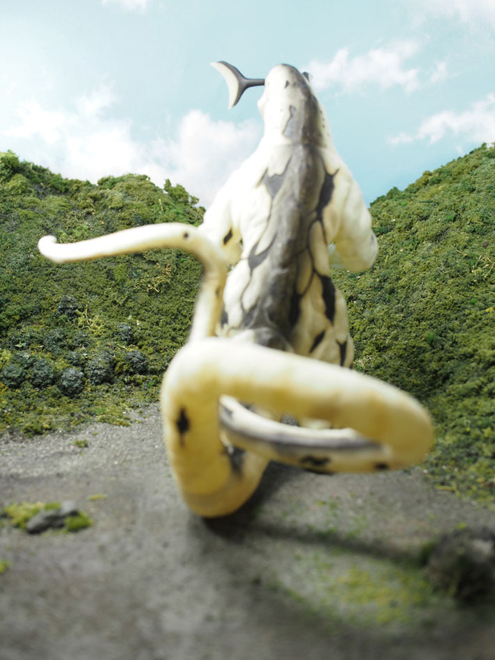 ���쥭�� (12)