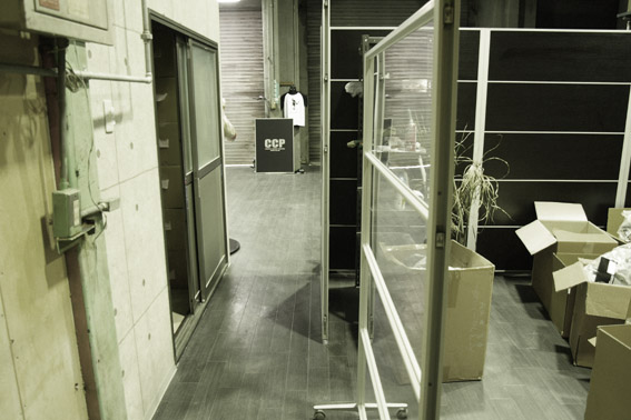 CCP�̿��֡��� (5)