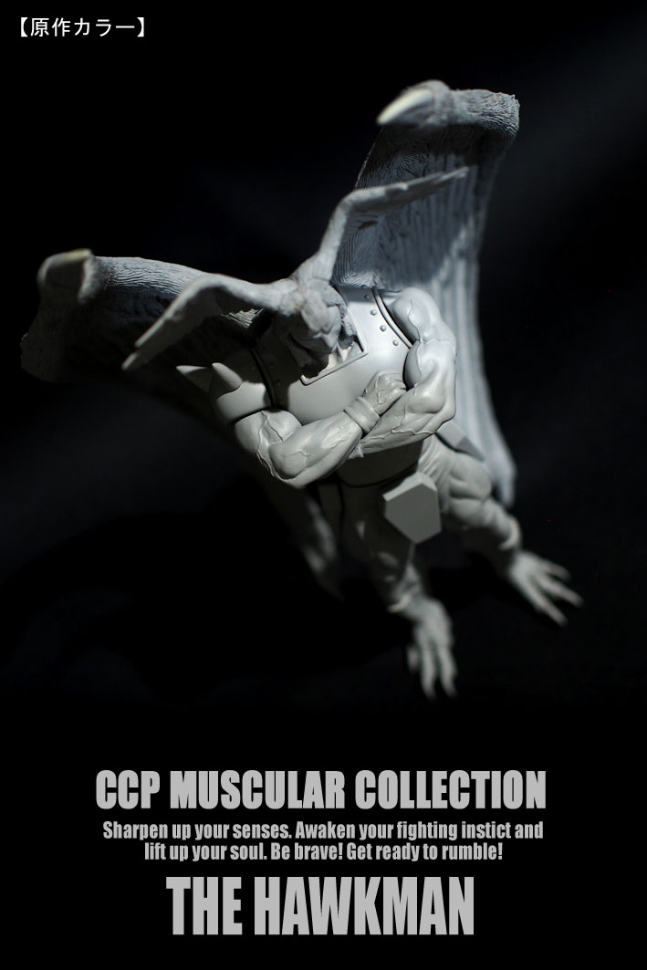 �ۡ����ޥ󸶺�顼  (5)