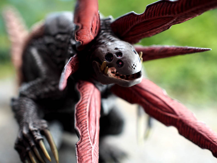 ���󥬥ܥ�30cm������ (6)