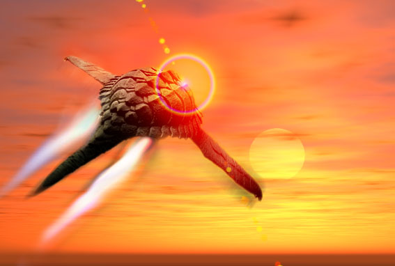 �����Хʡ� (1)