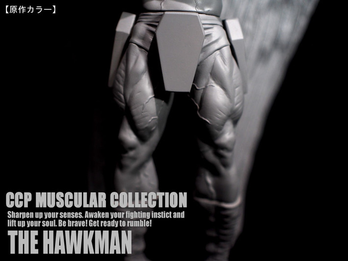 �ۡ����ޥ󸶺�顼�� (6)