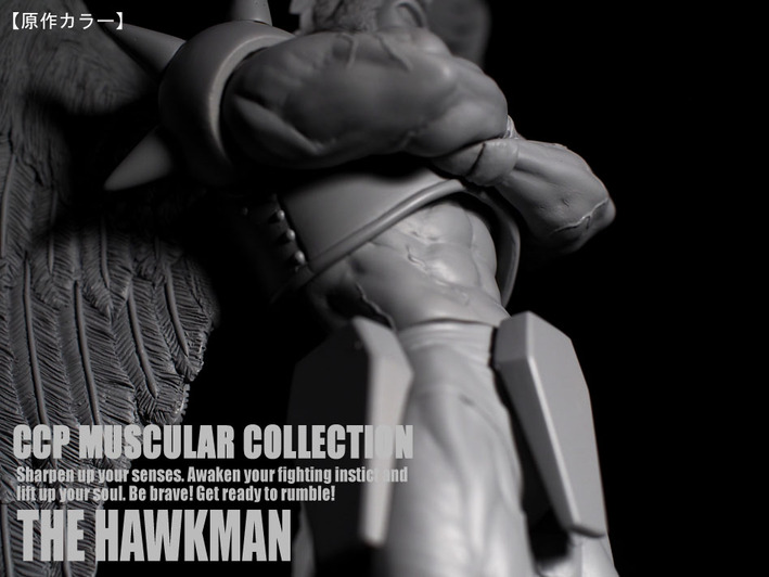 �ۡ����ޥ󸶺�顼�� (5)