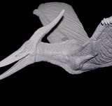 �ץƥ�Υɥ�ʸ�����