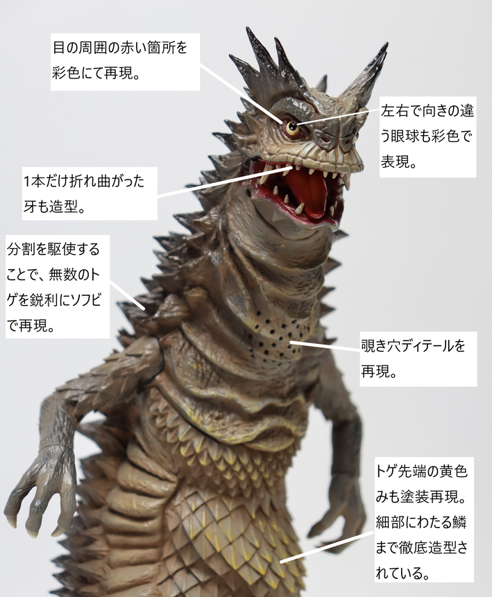 頭部アップ