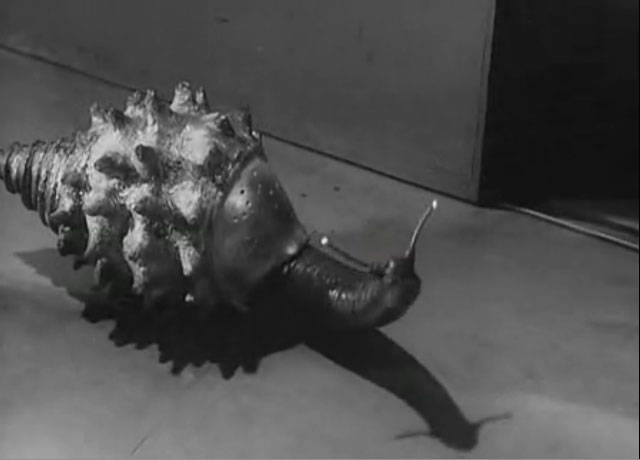 M1号　貝獣ゴーガ ゴーガ of ウルトラ怪獣.com