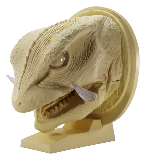 幻の究極造形 ガメラ(1995)ヘッドモデル商品詳細 : CCPJAPAN 幻の究極造形 ガメラ(1995)ヘッドモデル商品詳細 : CCPJAPAN