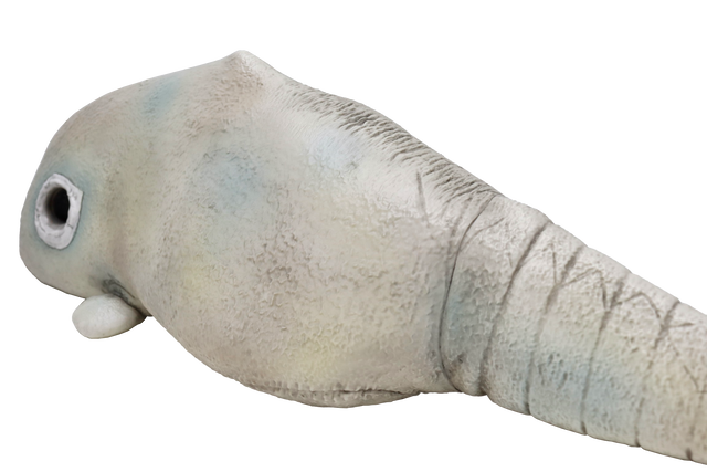 1/6特撮シリーズ「ガヴァドン（A）」商品詳細 : CCPJAPAN