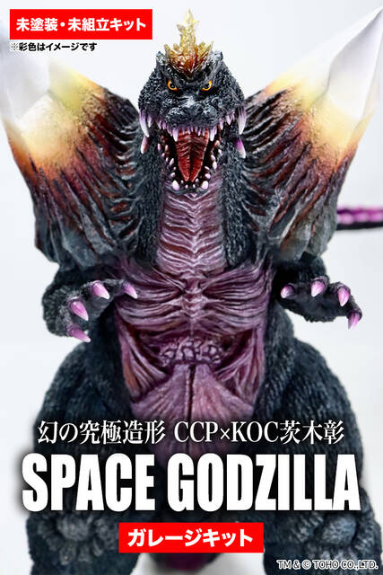 3203154782_2