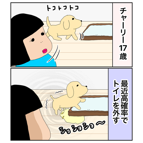 99802008-8A96-496A-A3E3-E0BC73550798