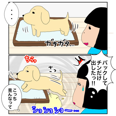 3FF1CA8B-A2B7-4AC0-A80A-995C2C9FF2D2