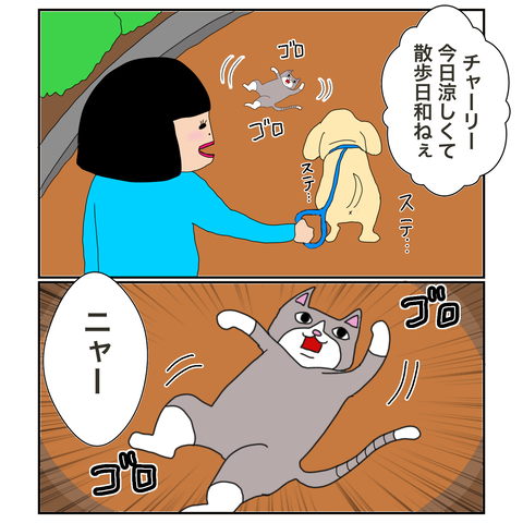 F781477B-D89C-4BDB-A78D-E06711A018FA