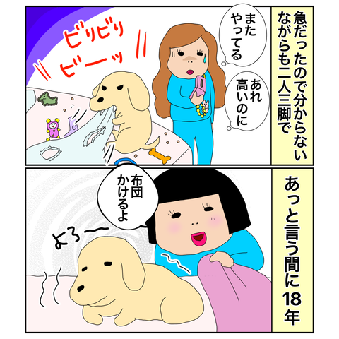 1E92F7BD-7080-403E-8EC8-997D2FE69656