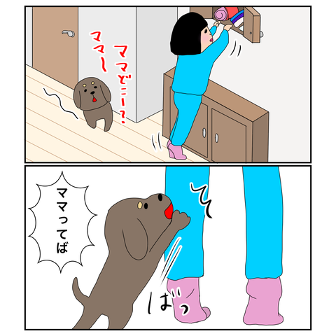 E84345D3-C4C1-4D90-8C64-093C30EB166E