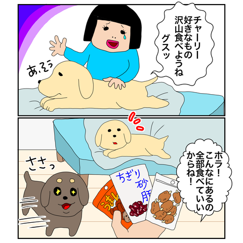 B2E98AB3-54B5-4921-8844-65EF081824A8