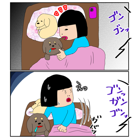 2DC99359-A15D-400E-8FD2-AFCDEFD87157