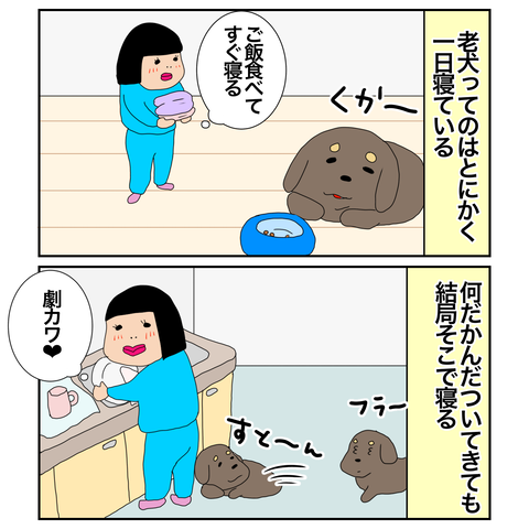 6F65BA32-36BF-4637-90D1-CE533C8E0AD3