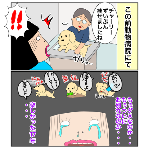 805F4E95-C4ED-4F0B-A021-C3951CFF581B